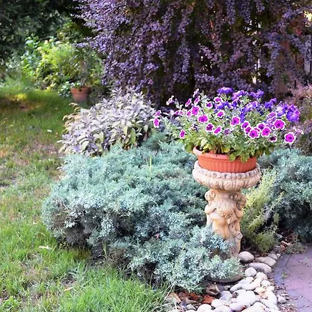 Apartment Siofok 16 *
